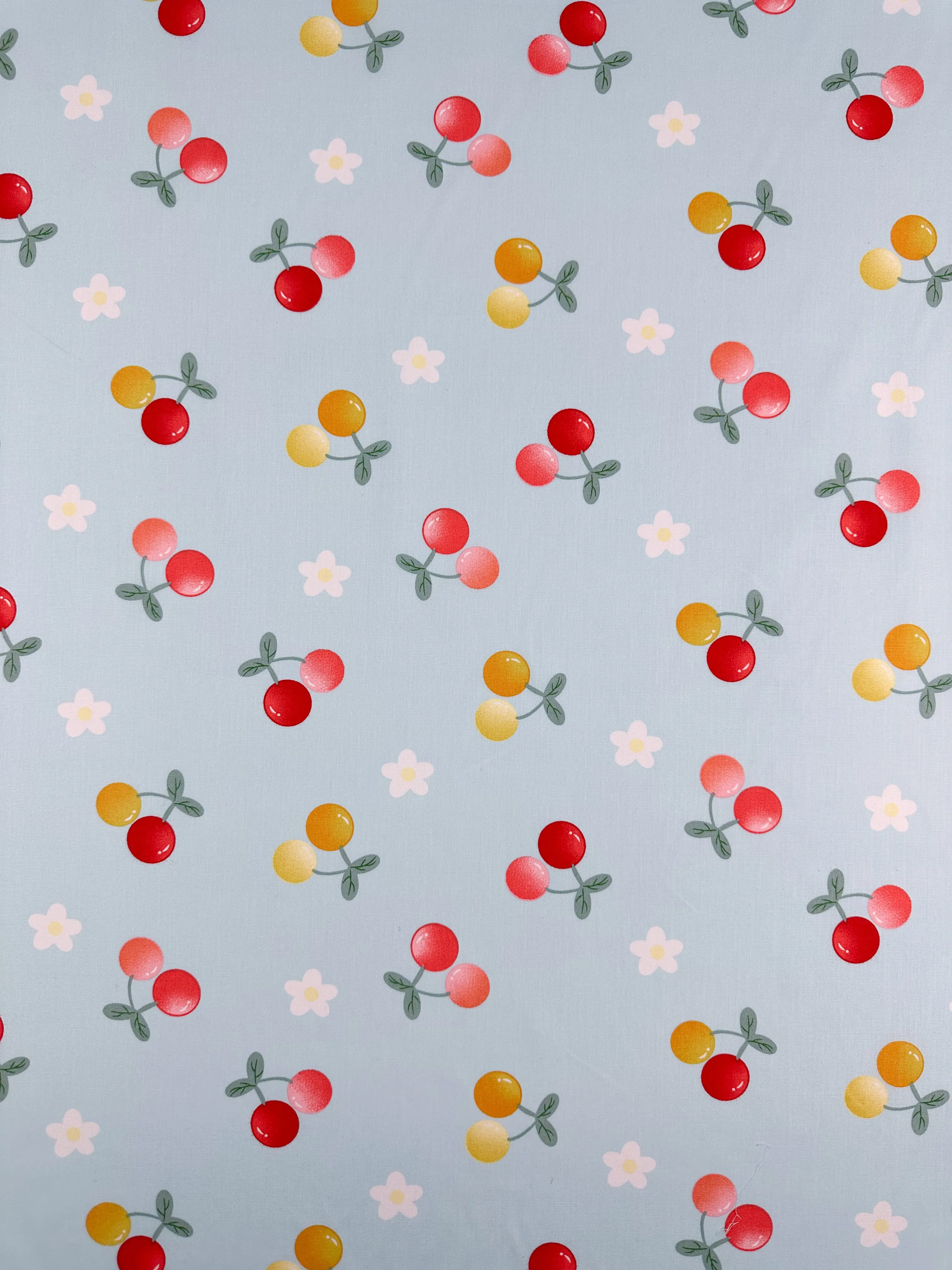 Printed Cotton - Ripe - 150cm